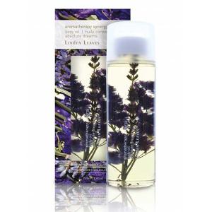 Linden Leaves 琳登丽诗 Aromatherapy Synergy 芳疗系列 body oil - large- 身体油  absolute dreams 薰衣草 265ml